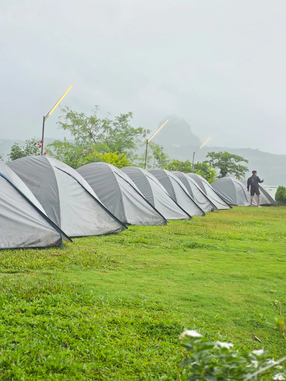 Regular Tent - Image 3