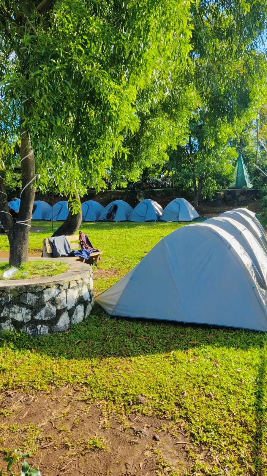 Regular Tent - Image 4